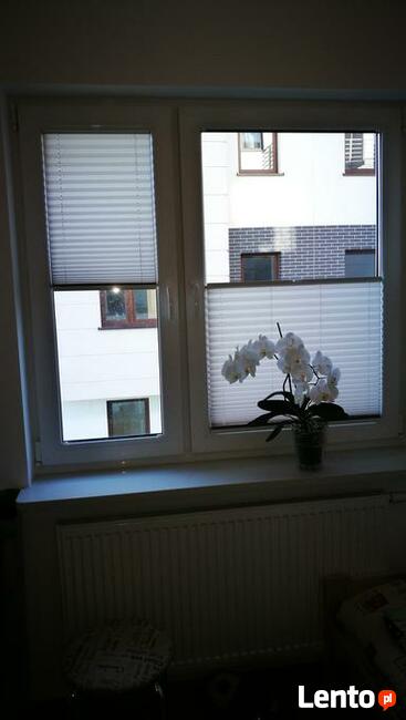 Plisy, moskitiera, rolety rzymskie.