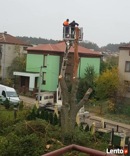 wycinka drzew, lasów,rębak, frezowanie,karczowanie