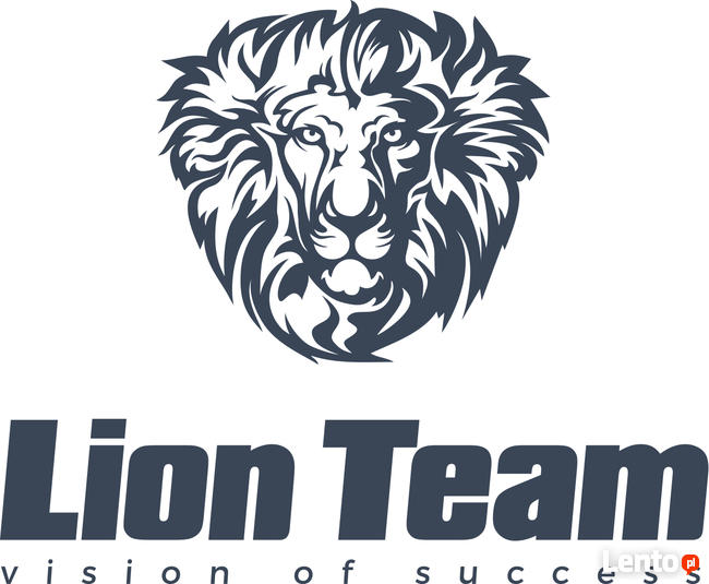 Agencja reklamowa Lion Team
