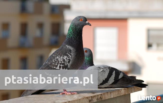 Montaż siatki na balkon przeciw gołębiom. Ptasia bariera