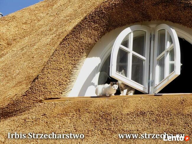 Irbis Strzecharstwo - oferta krycia i serwisu strzech