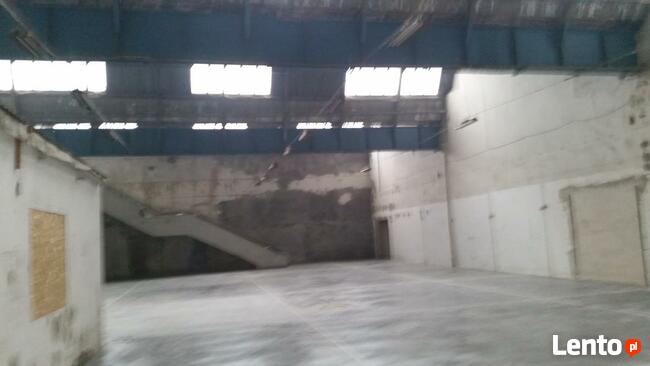 Magazyn, hala produkcyjna, hurtownia