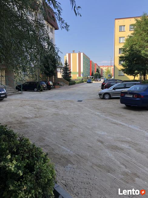 Układanie i sprzedaż kostki brukowej