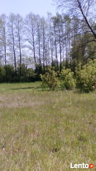 Sprzedam działkę budowlano-usługową