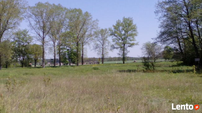 Sprzedam działkę budowlano-usługową