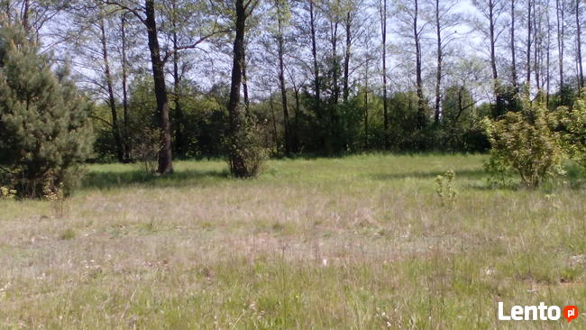 Sprzedam działkę budowlano-usługową