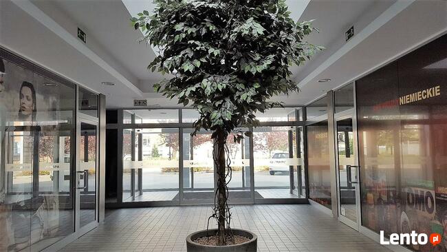 Sprzedam nieruchomość komercyjną - opcja leasingu z wykupem