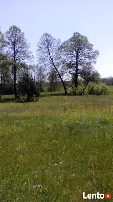 Sprzedam działkę budowlano-usługową