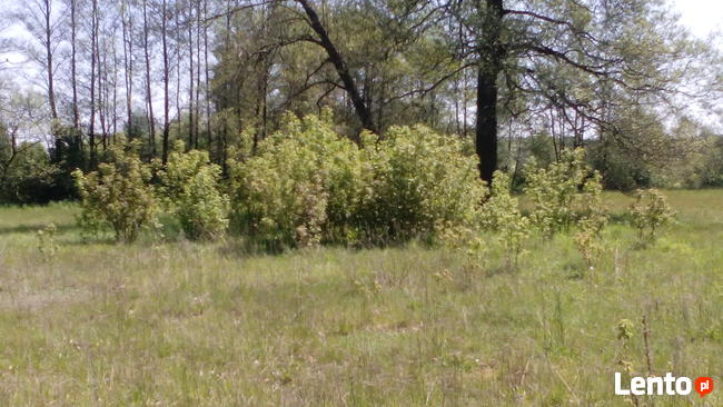 Sprzedam działkę budowlano-usługową