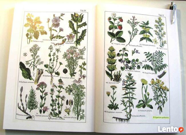 DrCzarnowski - Zielnik Lekarski 125 ziół używ. w lecznictwie