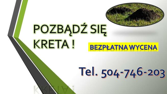 przewóz,transport,samochodem z windą,Wrocław, wysoki