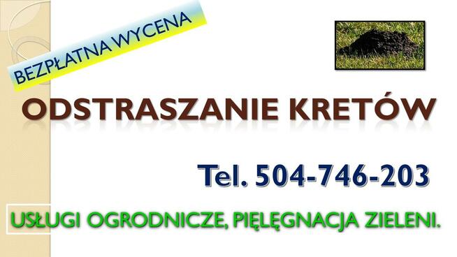przewóz,transport,samochodem z windą,Wrocław, wysoki