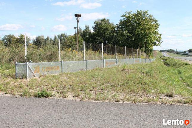 płotki dla płazów, ogrodzenia naprowadzjące