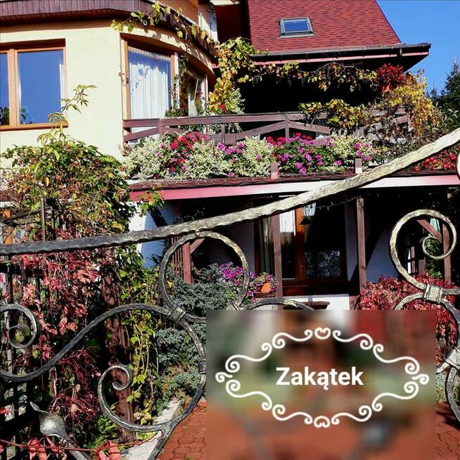 Noclegi Ełk Jagiełły 11