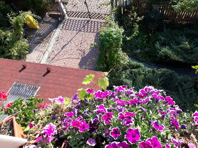 Noclegi Ełk Jagiełły 11