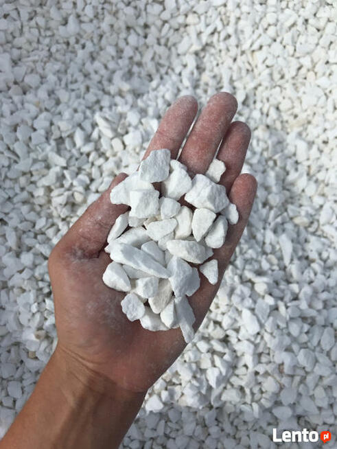 Grys Biały BIAŁA MARIANNA Marmurowy Dowóz WARSZAWA Włochy