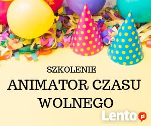 Animator czasu wolnego (e-learning)