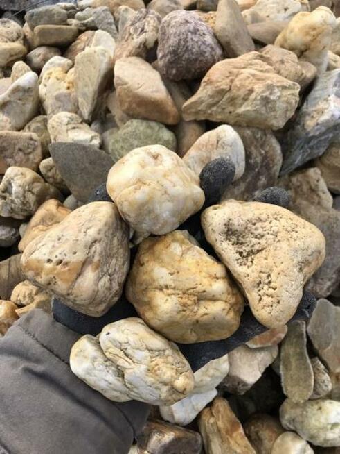 Otoczak Żółty Żwir Kamień Ogrodowy Imperium Kamieni Nadarzyn