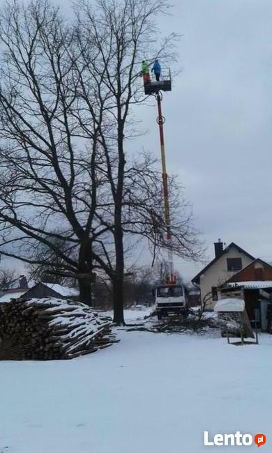 Usługi dźwigowe dźwigi usługi dźwigiem podnośnik koszowy