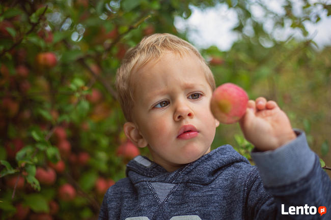 Sesje zdjęciowe plenerowe