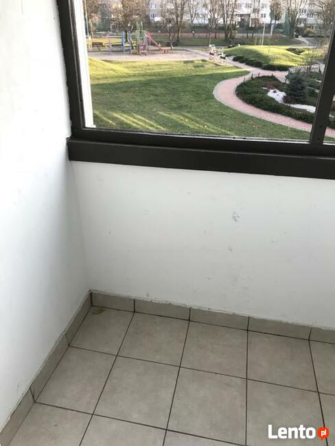 Mieszkanie na wynajem 2 pokoje Lubin