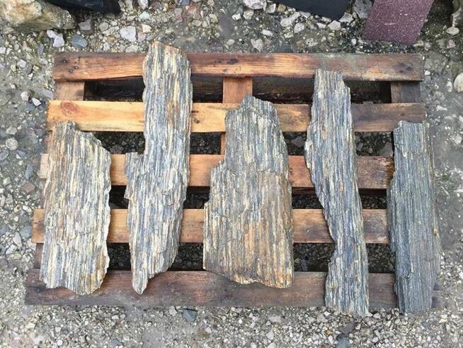 Kamienie Naturalne do Sesji Sesyjne Scenografia Warszawa