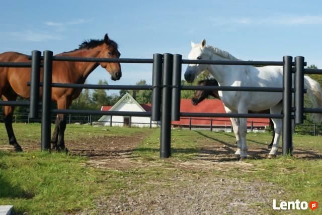 Equisafe - ogrodzenia elektryczne dla koni, hdpe, pastuch