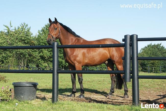 Equisafe - ogrodzenia elektryczne dla koni, hdpe, pastuch