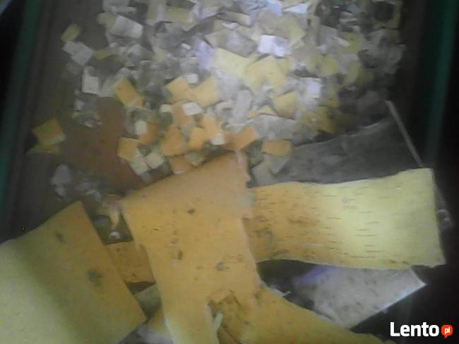 Sprzedam hubę brzozy, czaga