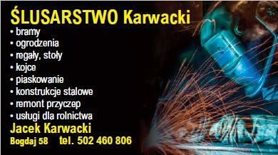 płot ogrodzenie brama kojec spawanie ślusarstwo piaskowanie