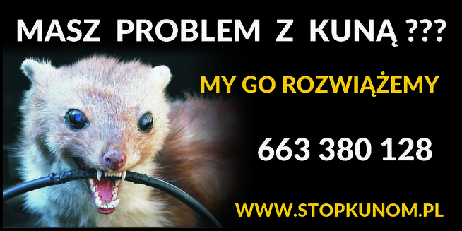 ZABEZPIECZENIE DOMÓW PRZED KUNĄ