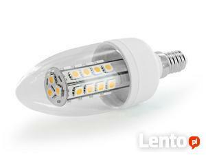 Żarówka CORN LED E14 5W