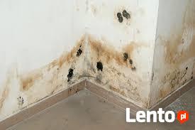 OSUSZANIE budynkow iniekcja krystaliczna Gdynia okolice