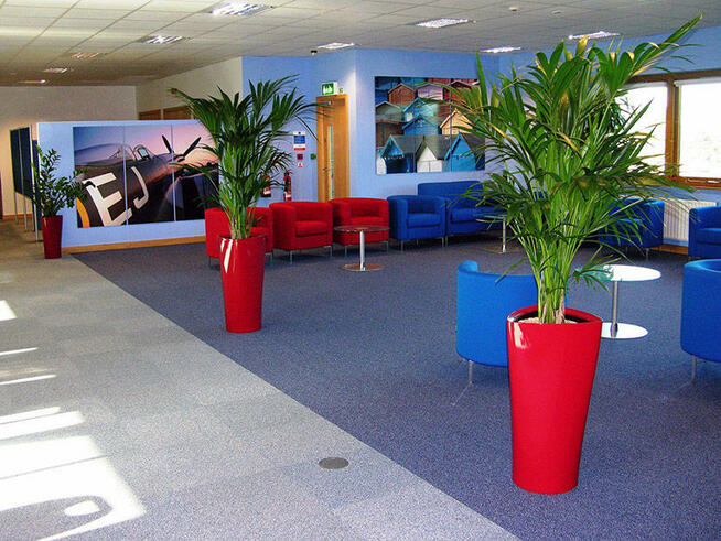 Pielęgnacja roślin doniczkowych Lublin