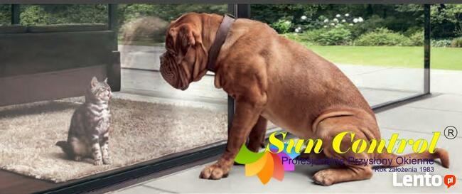 Folie okienne antywłamaniowe montaż Warszawa