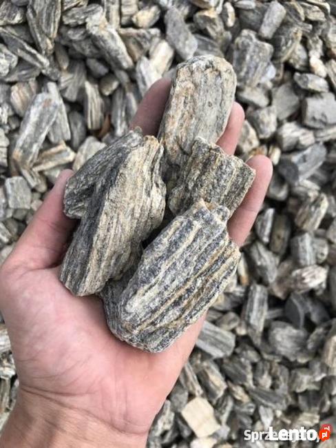 Łupek Drzewiasty Kora Kamienna Gnejsowa Akwarystyka WARSZAWA