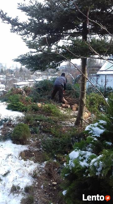 Odśnieżanie, Wycinka drzew, Rębak. Czyszczenie działek