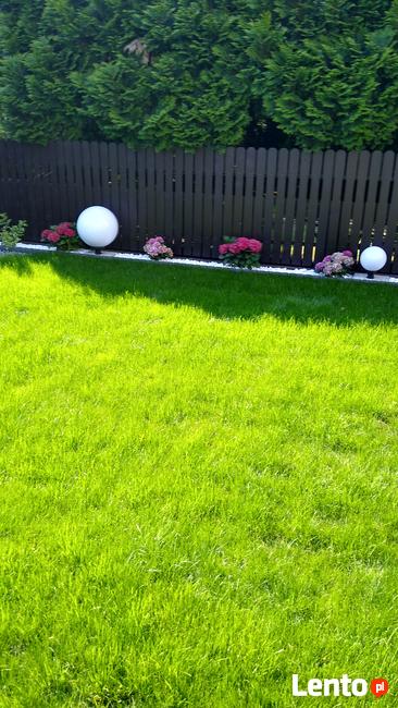 OGRODY Projektowanie, zakładanie. TRAWNIKI, nawadnianie