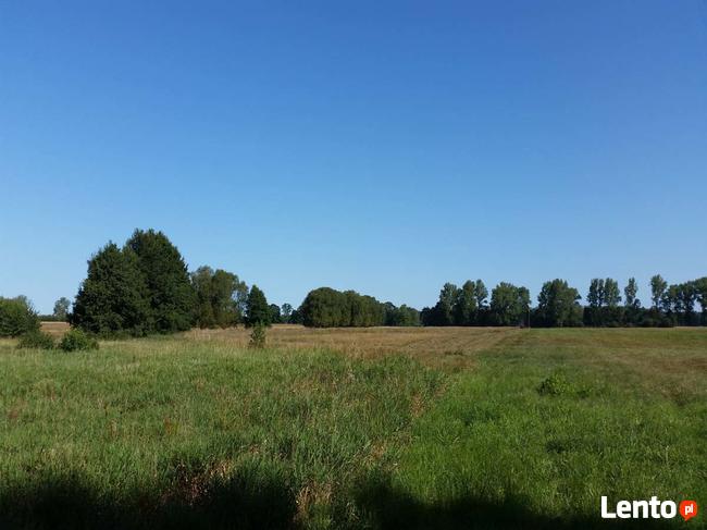 Pas nadmorski - działka z WZ pod fotowoltaikę - farmę!