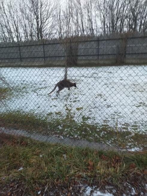 Posadzki przemysłowe betonowe