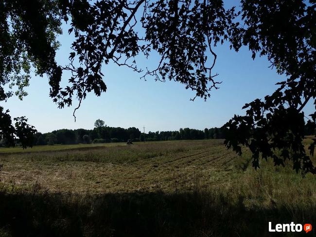 Pas nadmorski - działka z WZ pod fotowoltaikę - farmę!