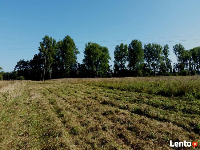 Pas nadmorski - działka z WZ pod fotowoltaikę - farmę!