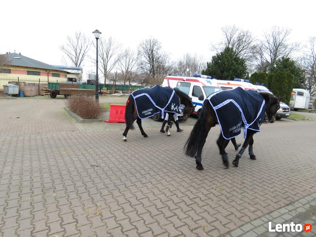 Patrole interwencyjne Poznań i Okolice