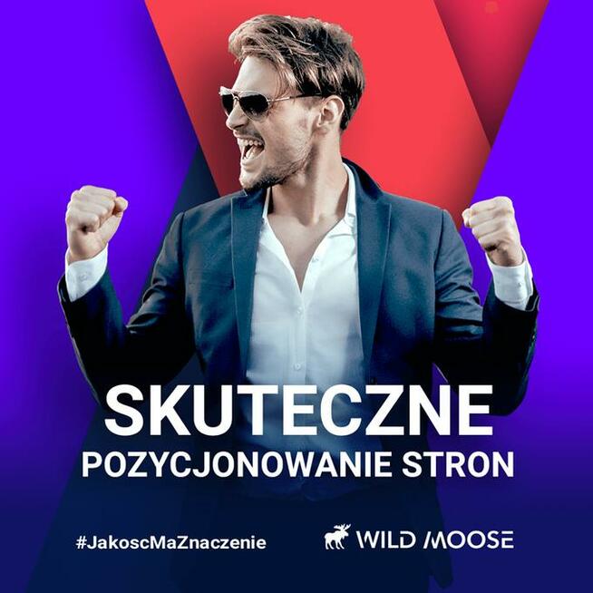 Wild Moose skuteczne pozycjonowanie stron