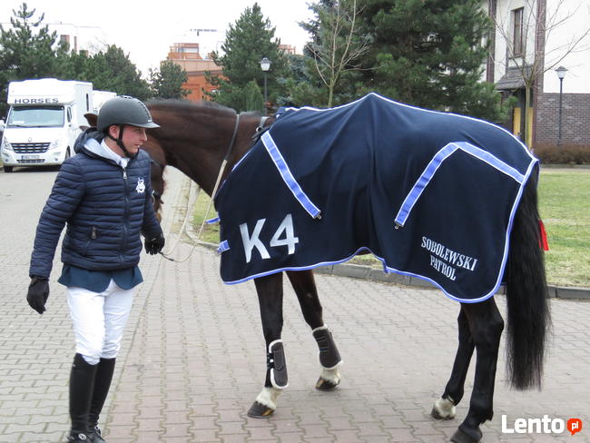 Patrole interwencyjne Poznań i Okolice