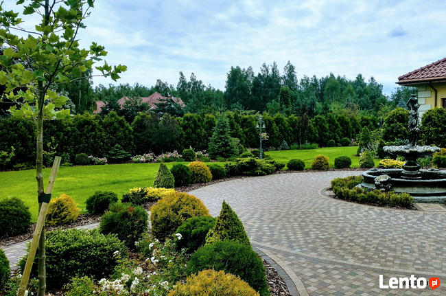 Trawnik zakładanie, Glebogryzarka separacyjna Usługi Avant