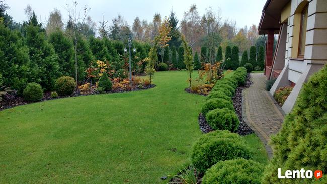 Trawnik zakładanie, Glebogryzarka separacyjna Usługi Avant