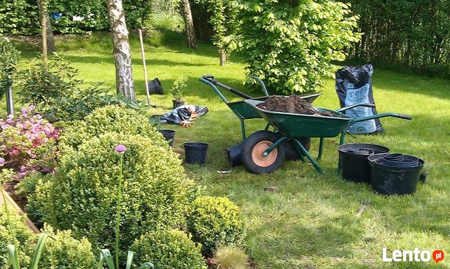 Trawnik zakładanie, Glebogryzarka separacyjna Usługi Avant