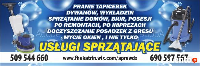 Usługi Sprzątające Pranie Tapicerek Tapczanów Dywanów