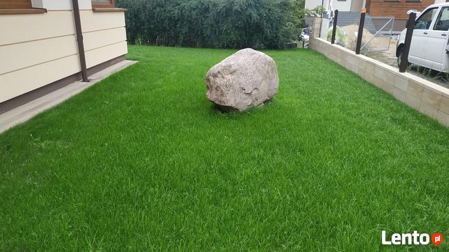 Trawnik zakładanie, Glebogryzarka separacyjna Usługi Avant